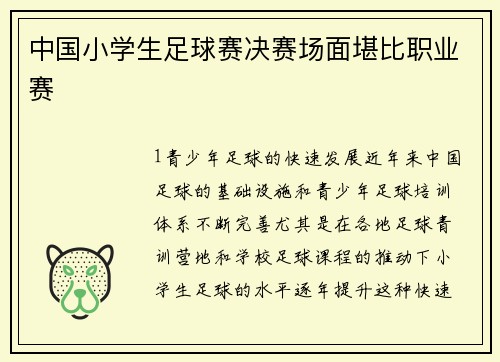中国小学生足球赛决赛场面堪比职业赛